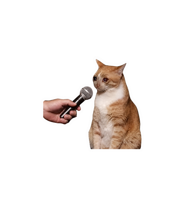 Crying Interview Cat Meme Sticker