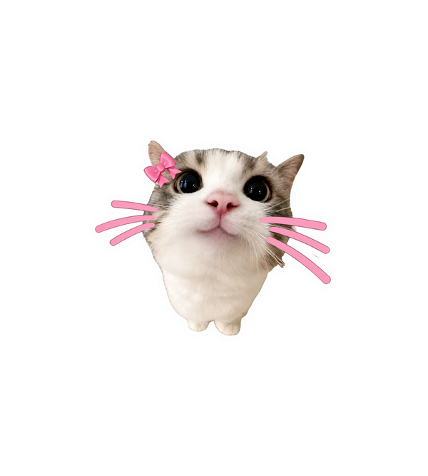 Cute Bow Cat Sticker