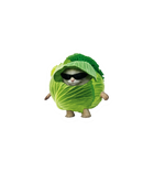 Cool Cabbage Cat Sticker
