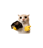 Broke Cat Wallet Sticker