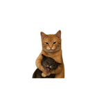 Cats in a Sticky Situation Sticker