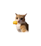 Fist Bump Cat Meme Sticker