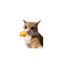 Fist Bump Cat Meme Sticker