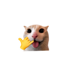 Call Me Cat Meme Sticker