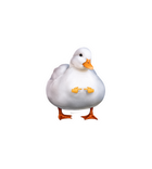 Chubby Duck Zero Ducks Given Sticker