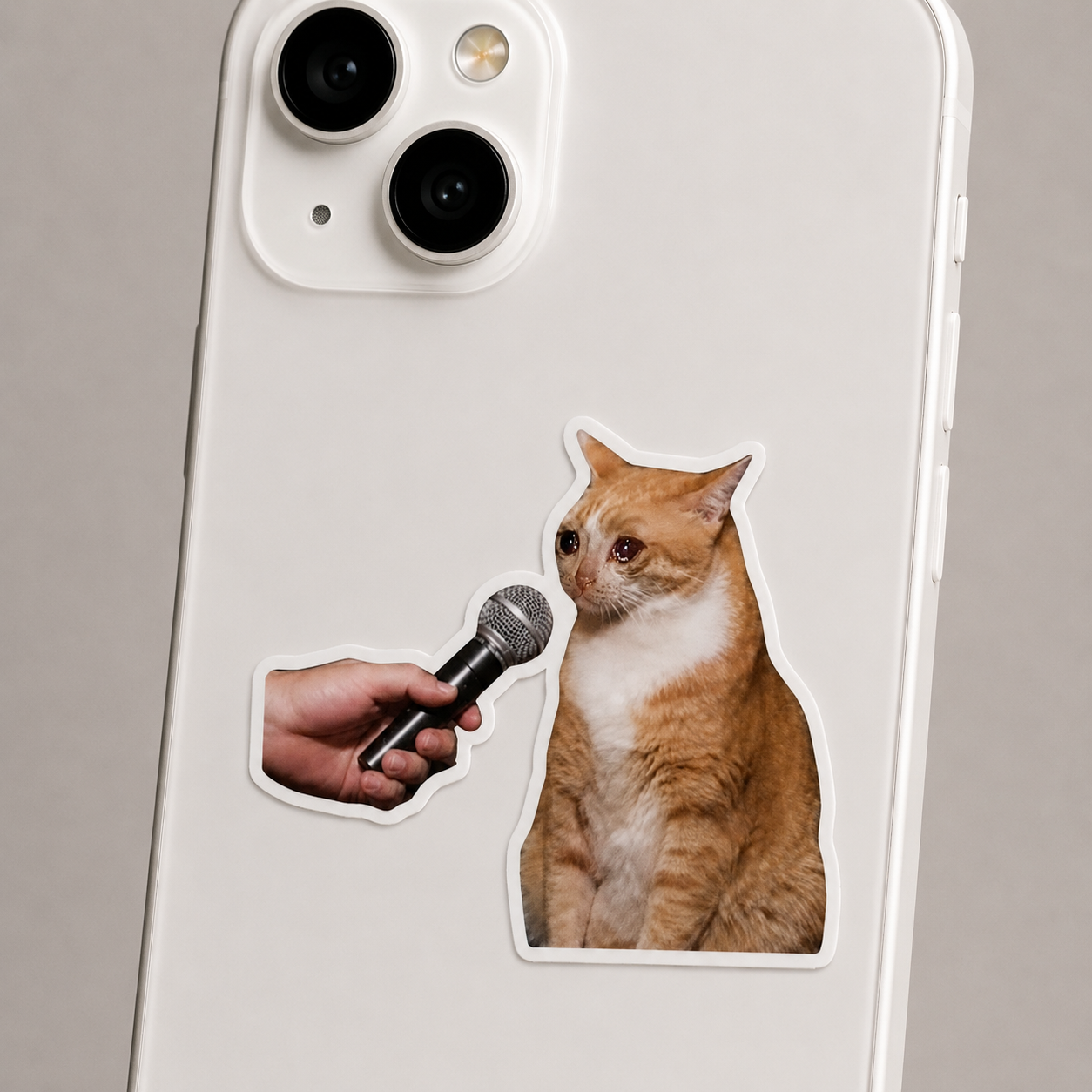 Crying Interview Cat Meme Sticker