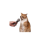 Crying Interview Cat Meme Sticker