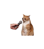 Crying Interview Cat Meme Sticker