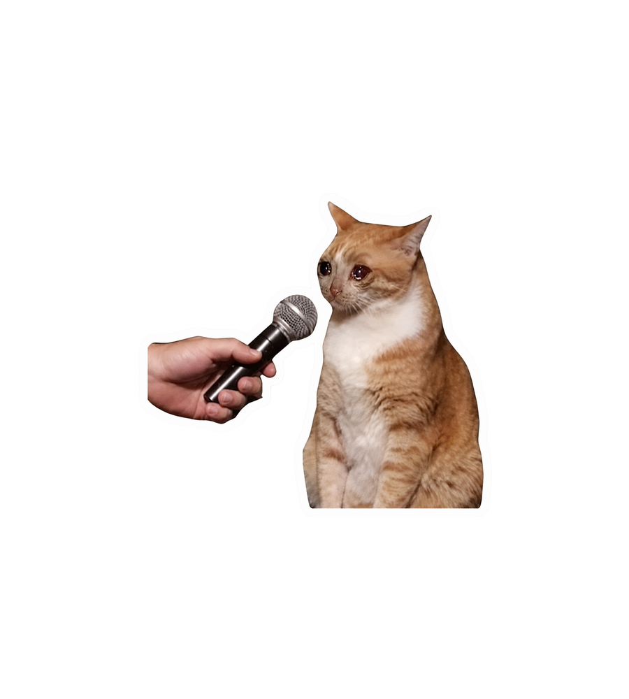 Crying Interview Cat Meme Sticker