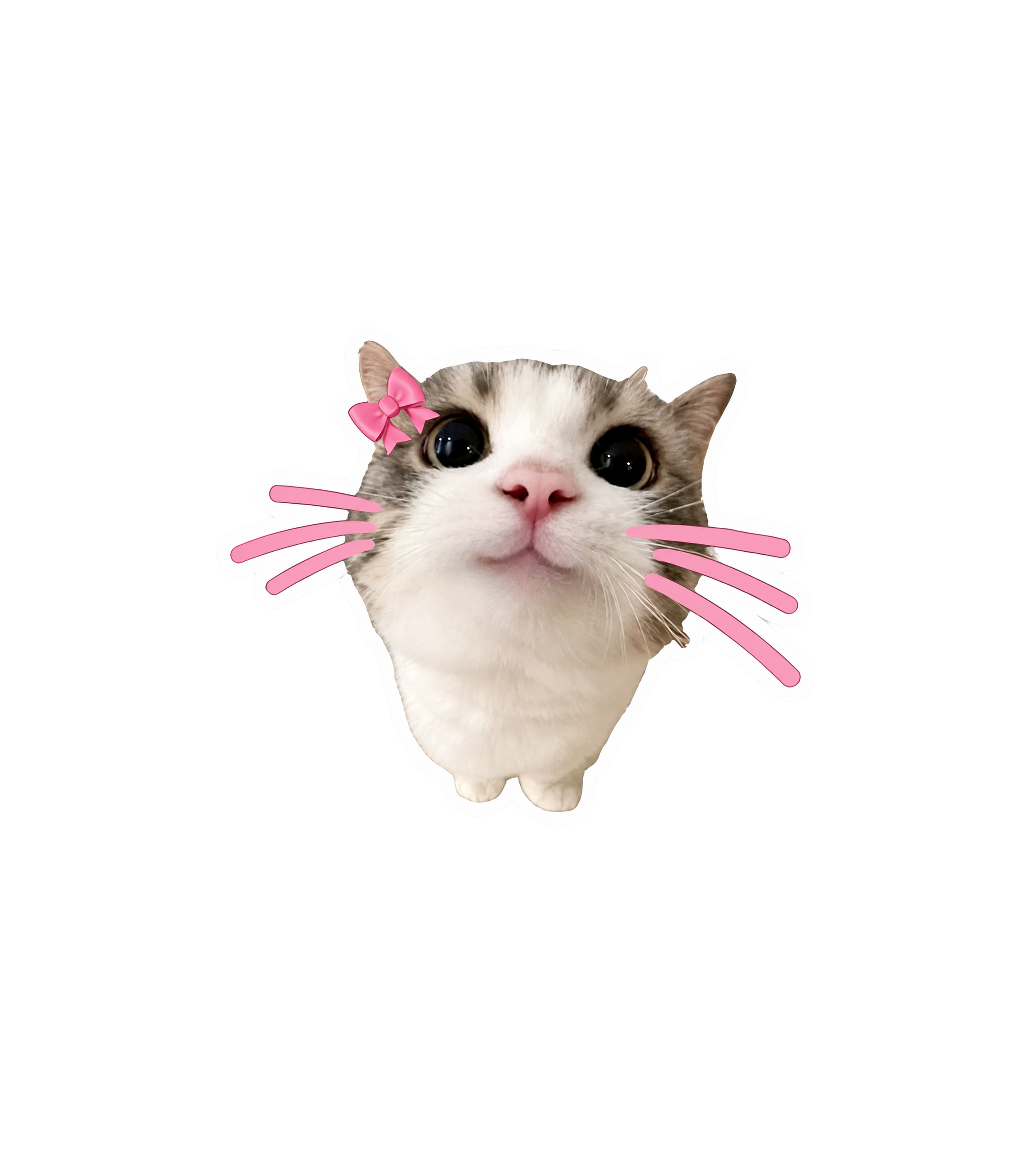 Cute Bow Cat Sticker