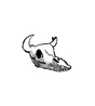Deer Skull Sticker