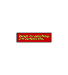 Teen Titans “Except for Everything” Sticker