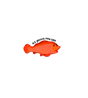 It's Getting Fishy Here Sticker