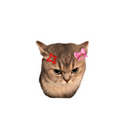 Grumpy Princess Cat Sticker
