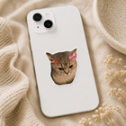 Grumpy Princess Cat Sticker
