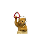 Kitten with Headphones and Tote Bag Sticker