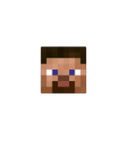 Minecraft Pixel Face Sticker