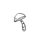 Mushroom Sticker