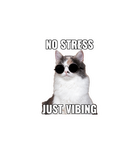 No Stress Just Vibing Cat Sticker