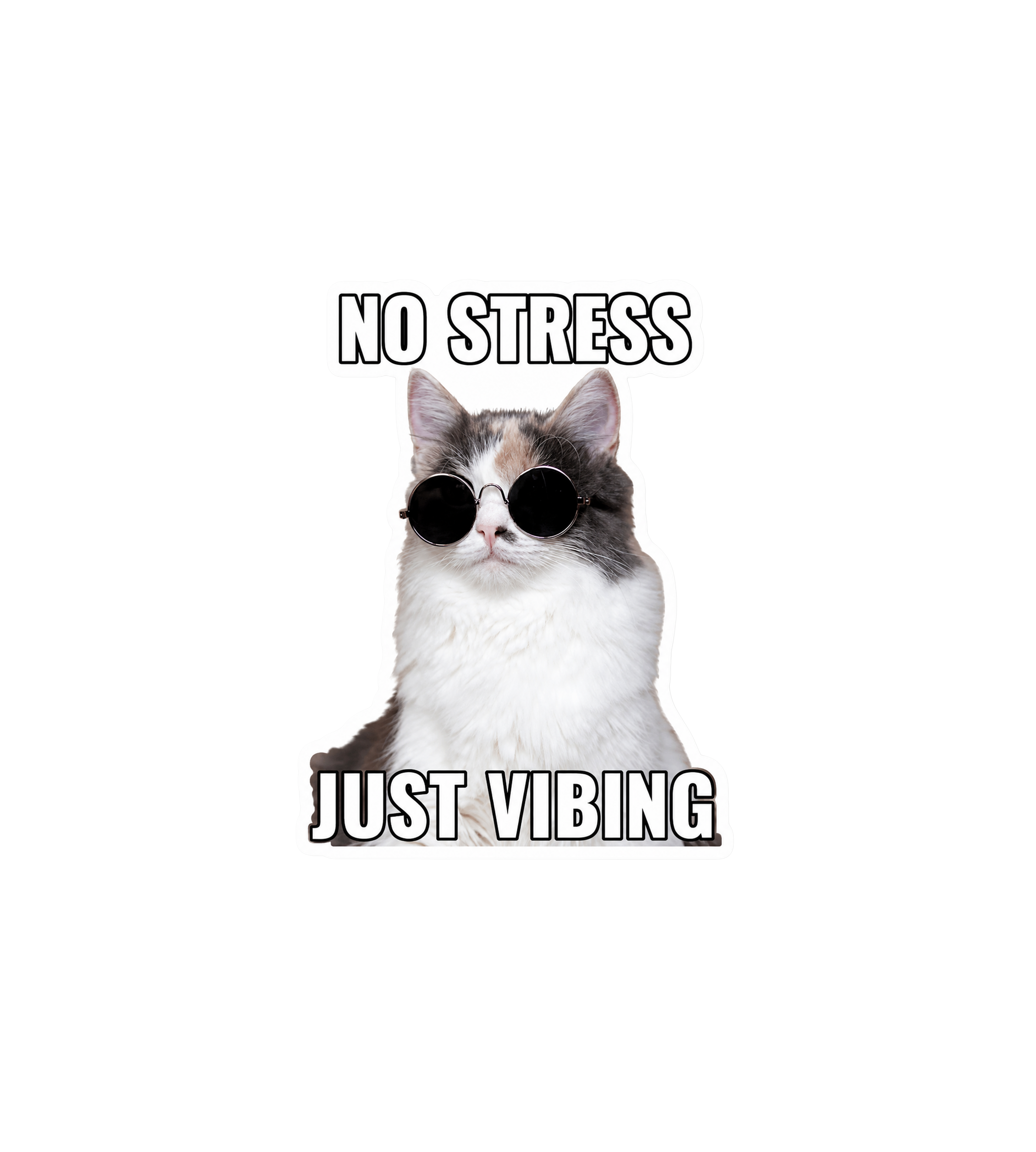 No Stress Just Vibing Cat Sticker