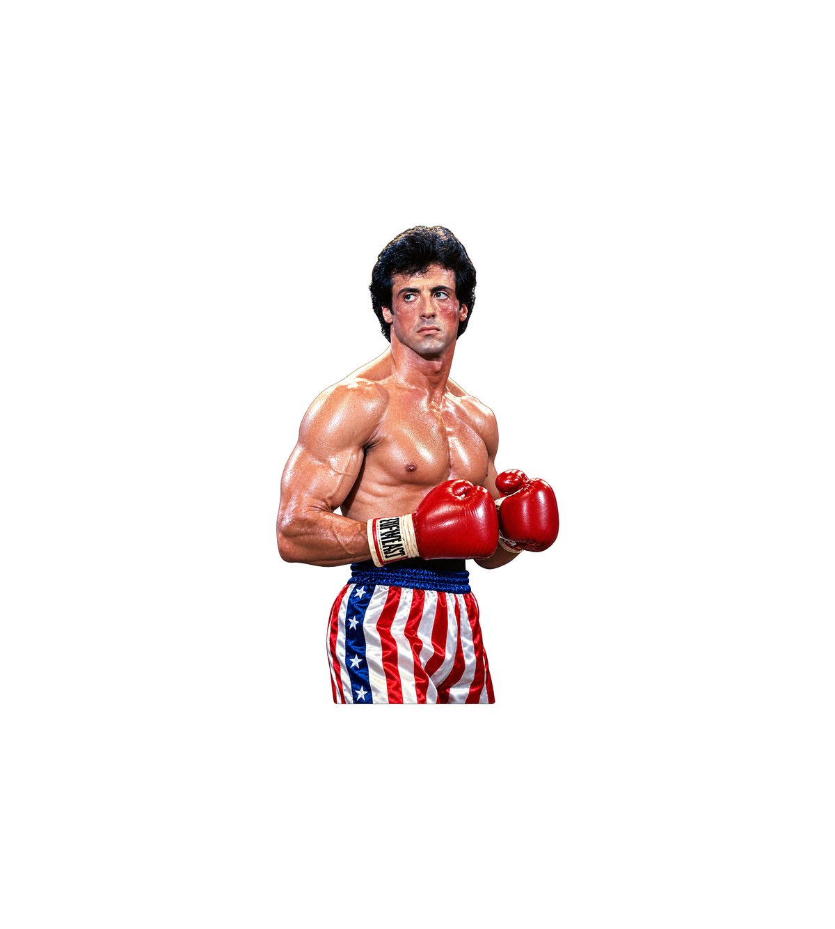 Rocky Balboa Boxing Sticker