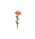 Orange Flower Sticker