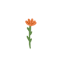 Orange Flower Sticker
