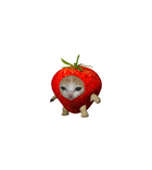 Sad Strawberry Cat Meme Sticker