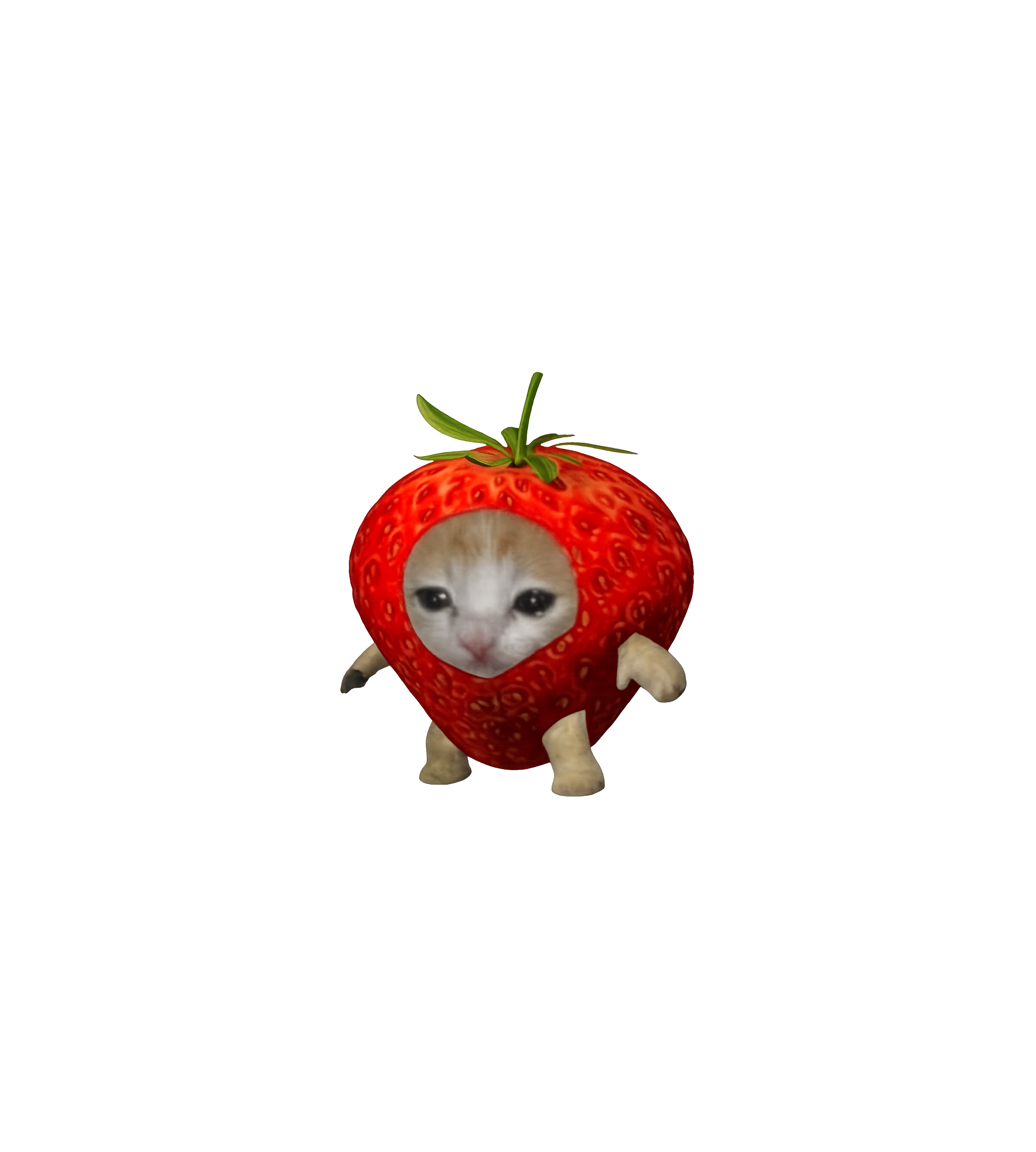 Sad Strawberry Cat Meme Sticker