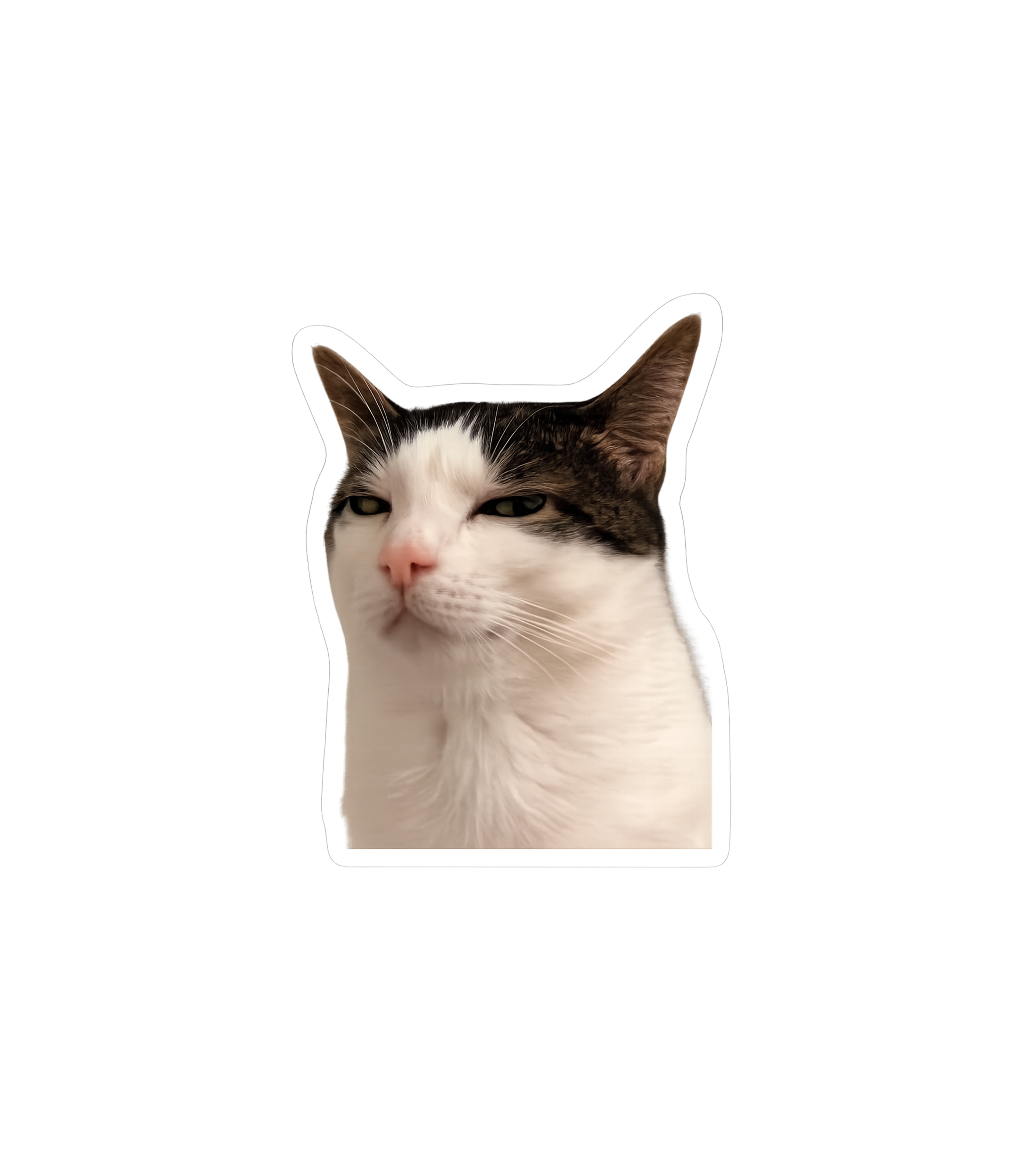 Suspicious Cat Meme Sticker