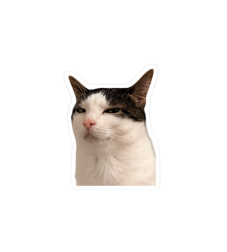 Suspicious Cat Meme Sticker
