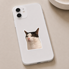 Suspicious Cat Meme Sticker