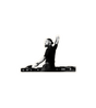 Skrillex DJing Sticker