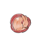 Sleepy Bunny Sticker