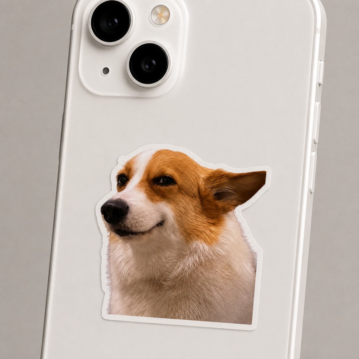 Smug Corgi Meme Sticker