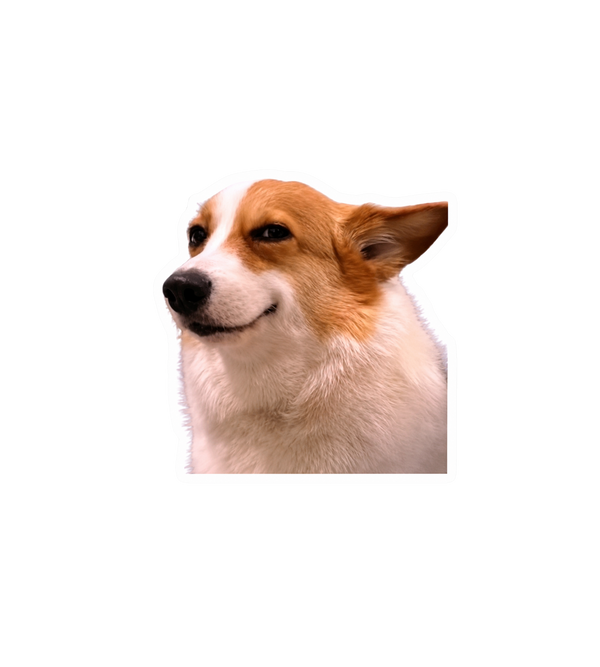 Smug Corgi Meme Sticker