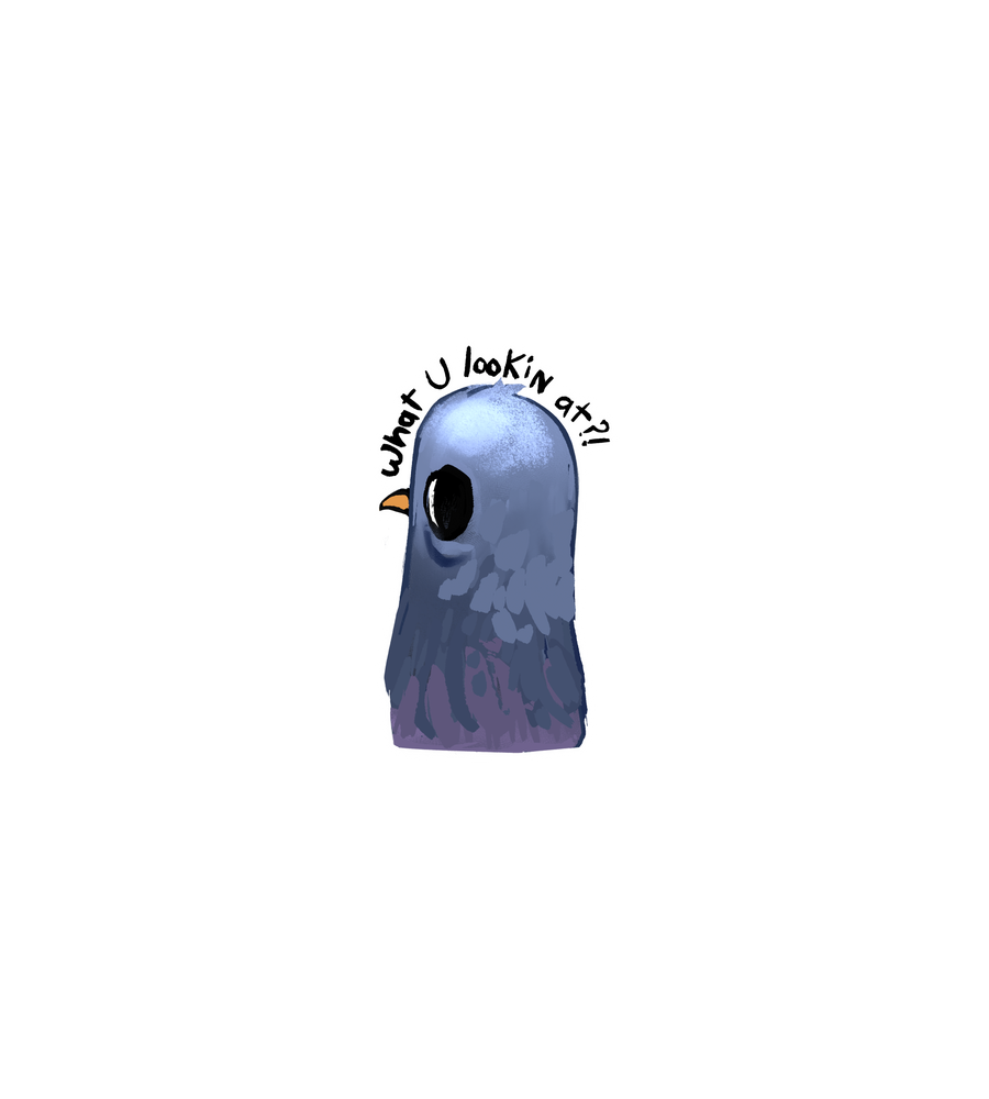 Sus Pigeon – What You Looking At? Sticker