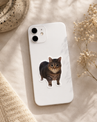 Realistic Tabby Cat Sticker